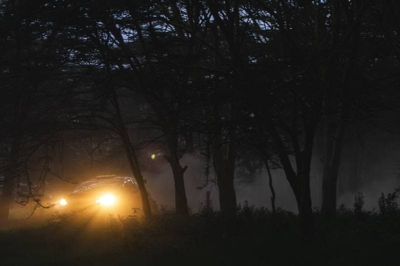 Motorsport. WRC. Safari Rally Kenya. 12.03.2026
