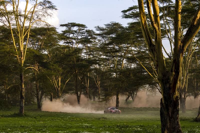 Motorsport. WRC. Safari Rally Kenya. 12.03.2026
