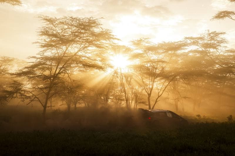 Motorsport. WRC. Safari Rally Kenya. 12.03.2026