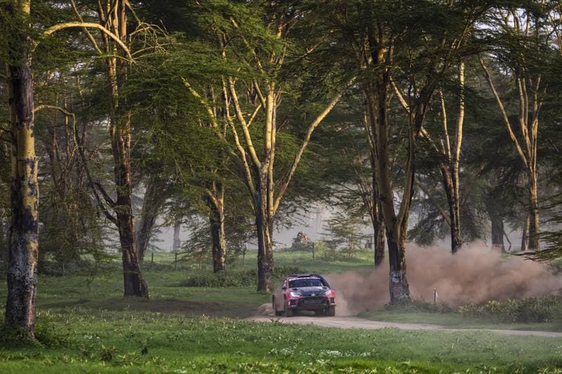 Motorsport. WRC. Safari Rally Kenya. 12.03.2026