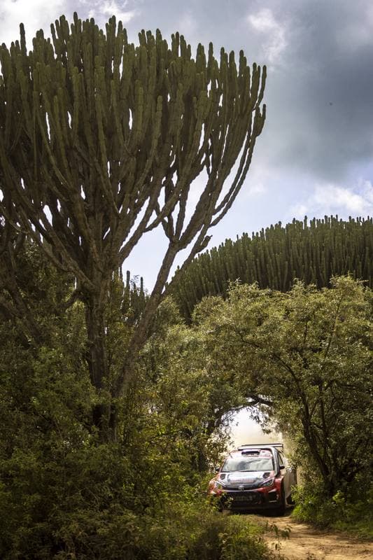 Motorsport. WRC. Safari Rally Kenya. 12.03.2026