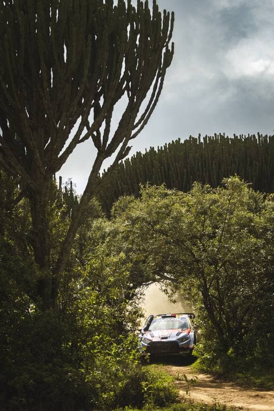 Motorsport. WRC. Safari Rally Kenya. 12.03.2026