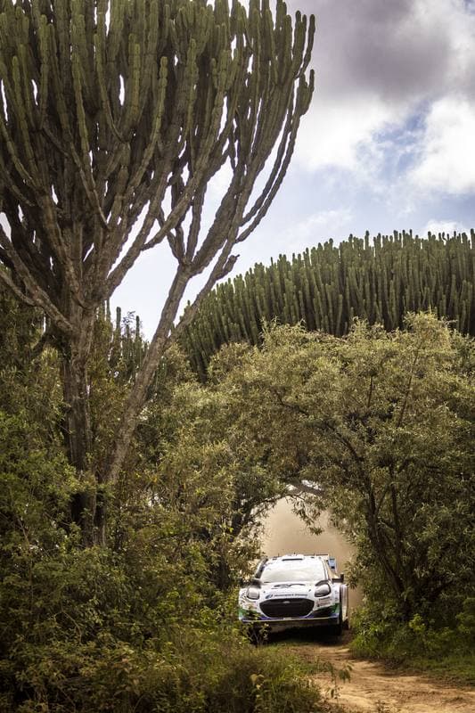 Motorsport. WRC. Safari Rally Kenya. 12.03.2026