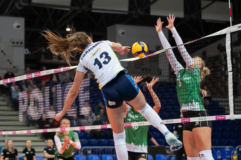 Volleyball. Tauron Liga. Lotto Chemik Police - Volley Wroclaw. 15.11.2024