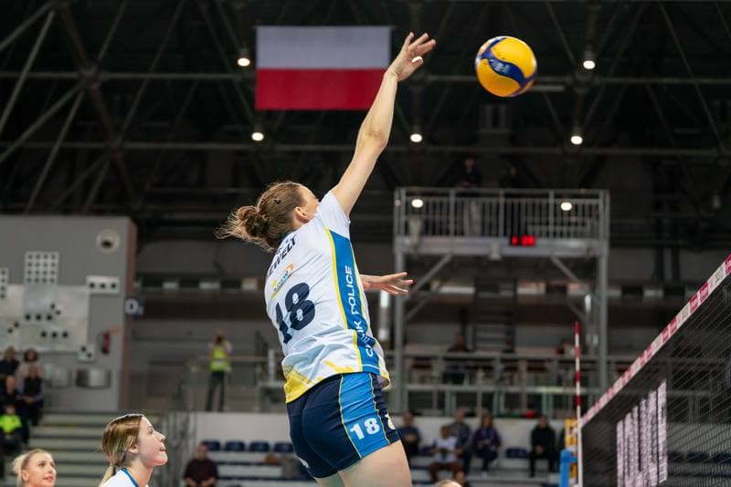 Volleyball. Tauron Liga. Lotto Chemik Police - Volley Wroclaw. 15.11.2024