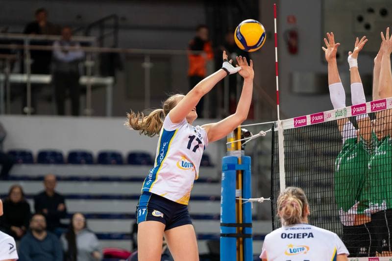 Volleyball. Tauron Liga. Lotto Chemik Police - Volley Wroclaw. 15.11.2024