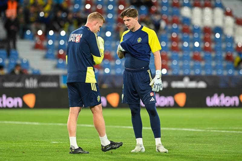 Football. FIFA World Cup Qualifiers. Ukraine - Sweden. 26.03.2026