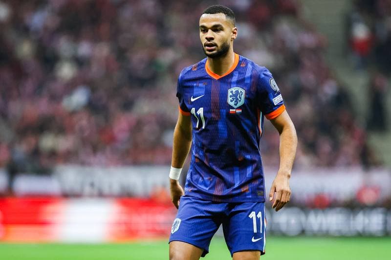 Football. FIFA World Cup Qualifying. Poland - Netherlands. 14.11.2025