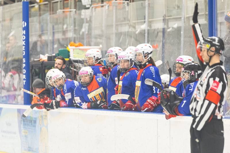 Ice Hockey. TAURON Liga Hokeja Kobiet. PTH Kozice Poznan - BS Polonia Bytom Ladies. 25.10.2025
