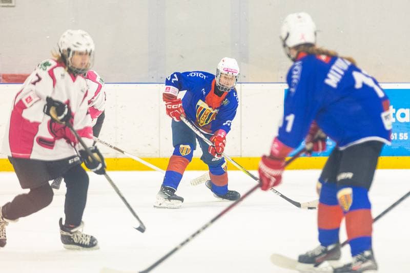 Ice Hockey. TAURON Liga Hokeja Kobiet. PTH Kozice Poznan - BS Polonia Bytom Ladies. 25.10.2025