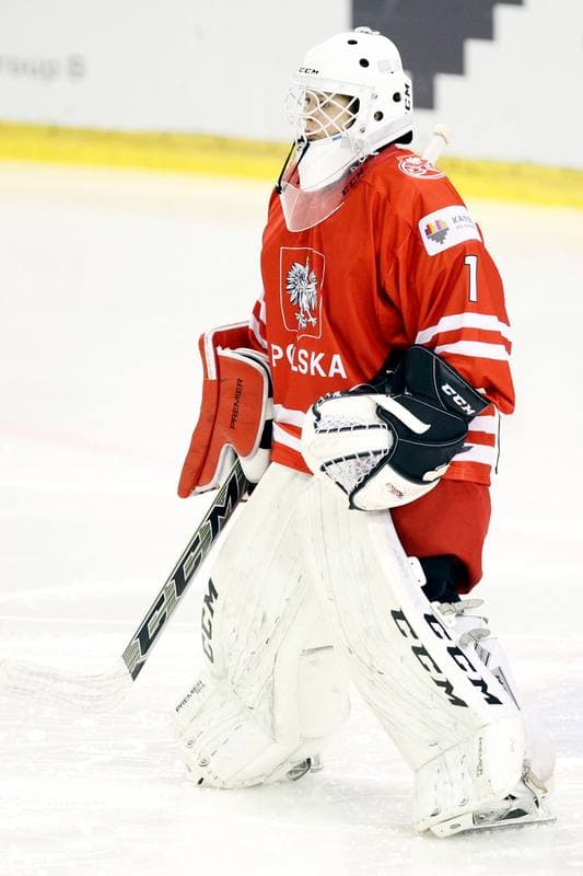 Ice Hockey. Women's World Championship. China - Poland. 14.04.2017