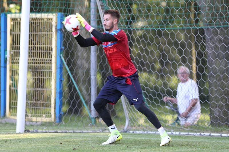 Football. Czech Republic. Training. 15.06.2017