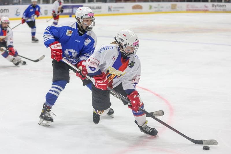 Ice Hockey. PLHK. BS Polonia Bytom - Stoczniowiec Gdansk. 11.03.2023