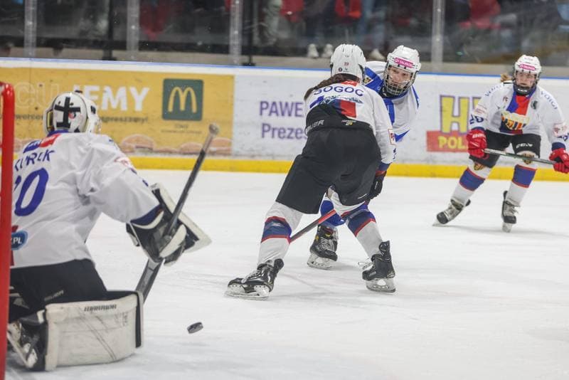 Ice Hockey. PLHK. BS Polonia Bytom - Stoczniowiec Gdansk. 11.03.2023