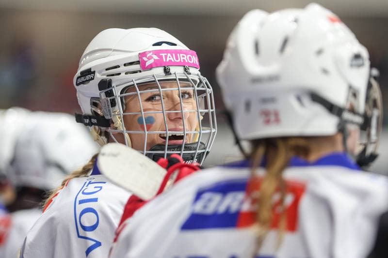 Ice Hockey. PLHK. BS Polonia Bytom - Stoczniowiec Gdansk. 11.03.2023