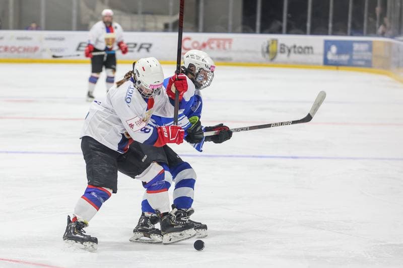 Ice Hockey. PLHK. BS Polonia Bytom - Stoczniowiec Gdansk. 11.03.2023