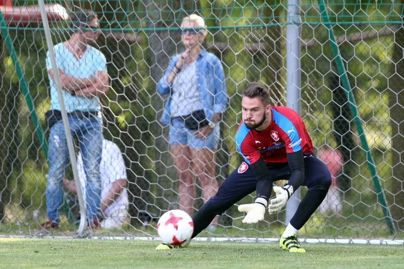 Football. Czech Republic. Training. 15.06.2017