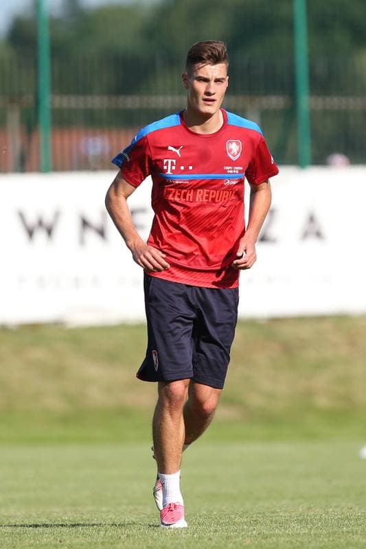 Football. Czech Republic. Training. 15.06.2017