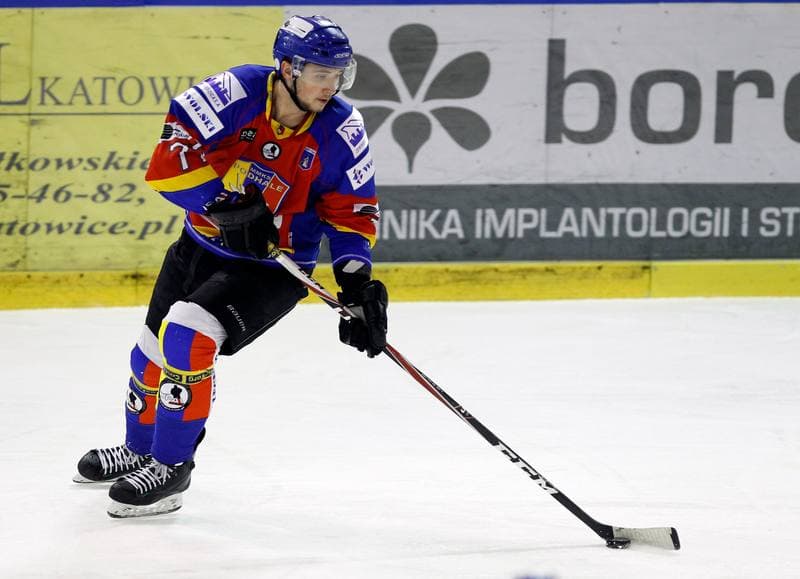 Ice Hockey. Polska Hokej Liga. Naprzod Janow - Podhale Nowy Targ. 14.11.2014