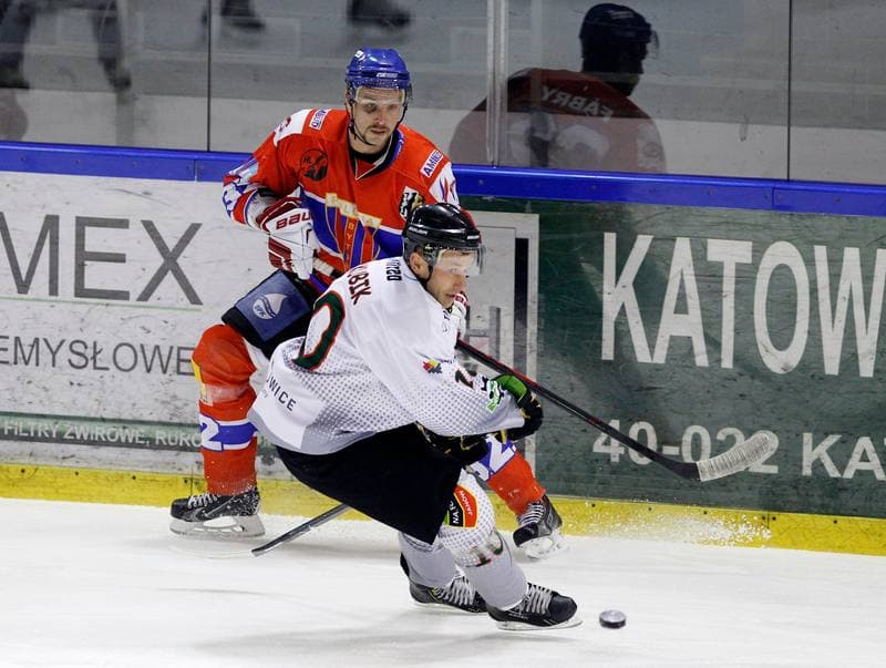 Ice Hockey. Polska Hokej Liga. Naprzod Janow - Polonia Bytom. 02.11.2014