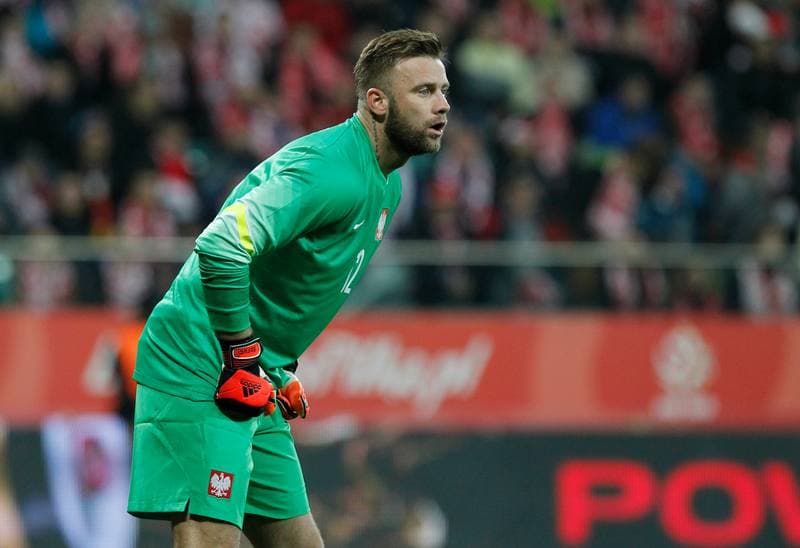 Football. International Friendly. Poland - Switzerland. 18.11.2014