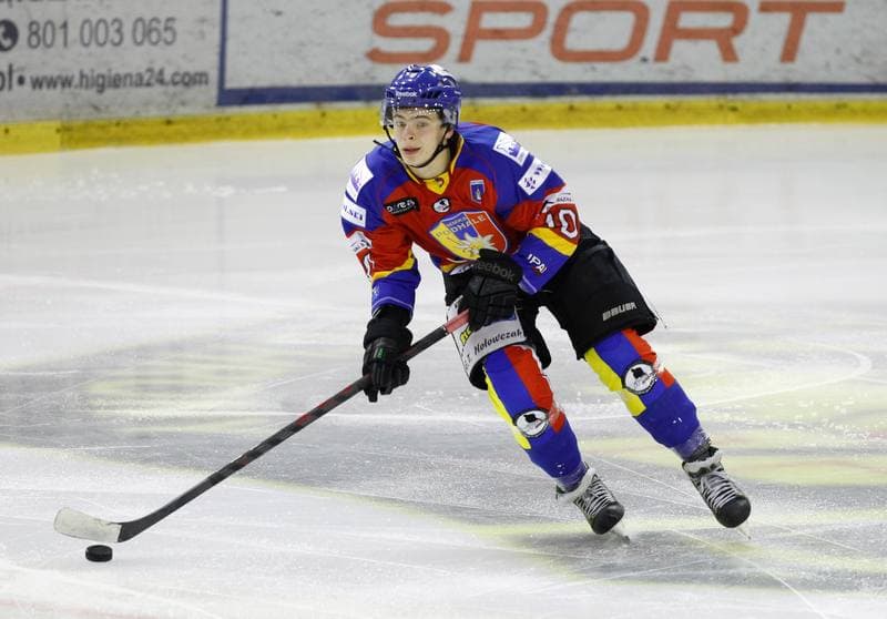 Ice Hockey. Polska Hokej Liga. Naprzod Janow - Podhale Nowy Targ. 14.11.2014