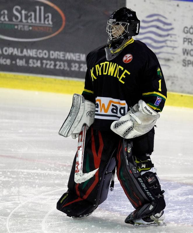 Ice Hockey. Polska Hokej Liga. Naprzod Janow - HC GKS Katowice. 06.01.2015