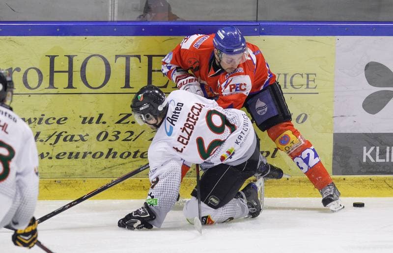 Ice Hockey. Polska Hokej Liga. Naprzod Janow - Polonia Bytom. 02.11.2014