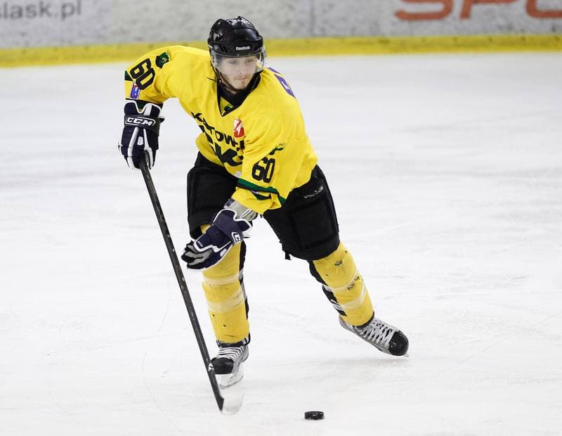 Ice Hockey. Polska Hokej Liga. HC GKS Katowice - Polonia Bytom. 04.11.2014