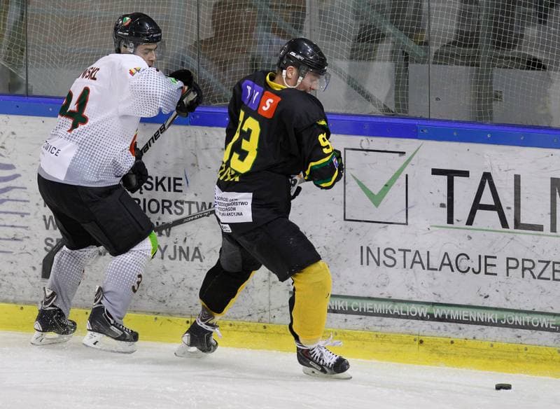 Ice Hockey. Polska Hokej Liga. Naprzod Janow - HC GKS Katowice. 06.01.2015