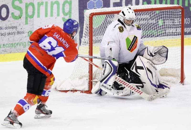 Ice Hockey. Polska Hokej Liga. Naprzod Janow - Polonia Bytom. 02.11.2014