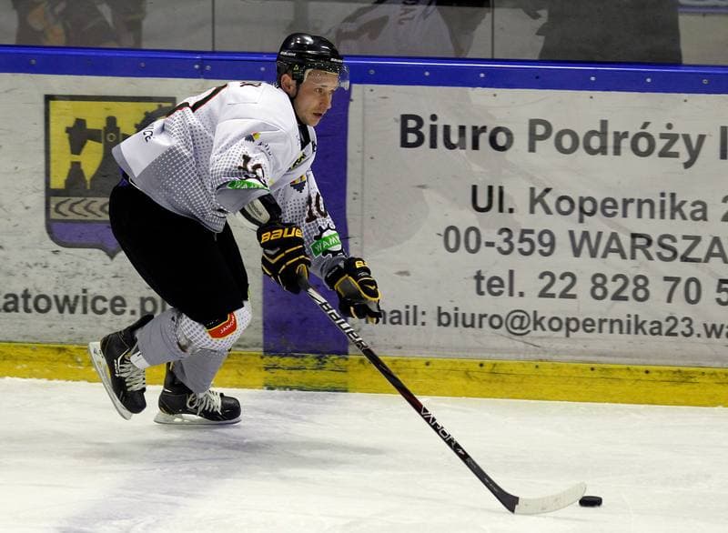 Ice Hockey. Polska Hokej Liga. Naprzod Janow - HC GKS Katowice. 06.01.2015
