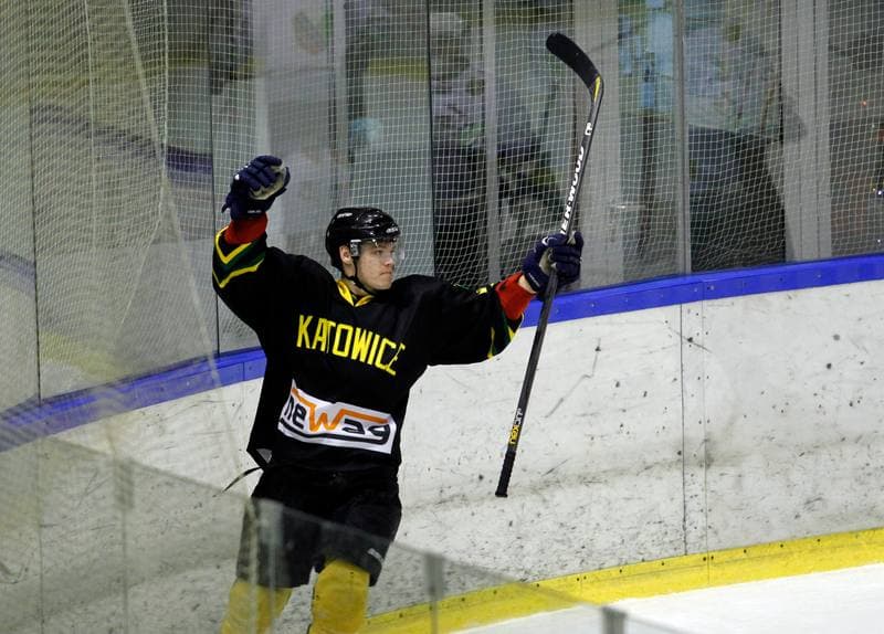 Ice Hockey. Polska Hokej Liga. Naprzod Janow - HC GKS Katowice. 06.01.2015