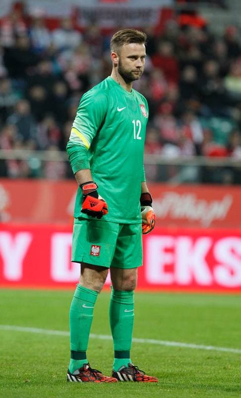 Football. International Friendly. Poland - Switzerland. 18.11.2014