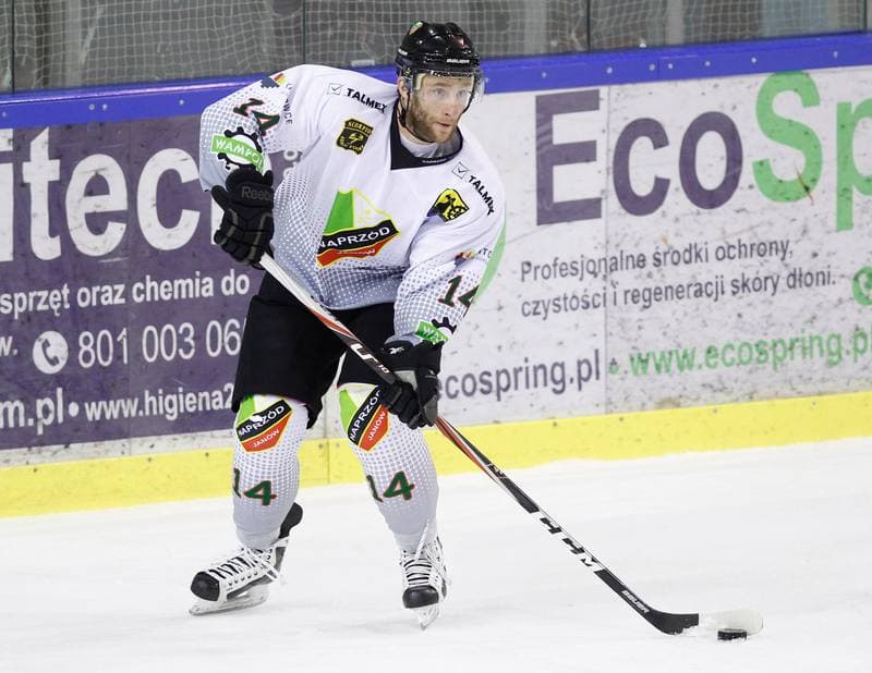Ice Hockey. Polska Hokej Liga. Naprzod Janow - Polonia Bytom. 02.11.2014