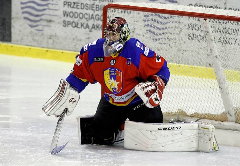 Ice Hockey. Polska Hokej Liga. Naprzod Janow - Podhale Nowy Targ. 14.11.2014