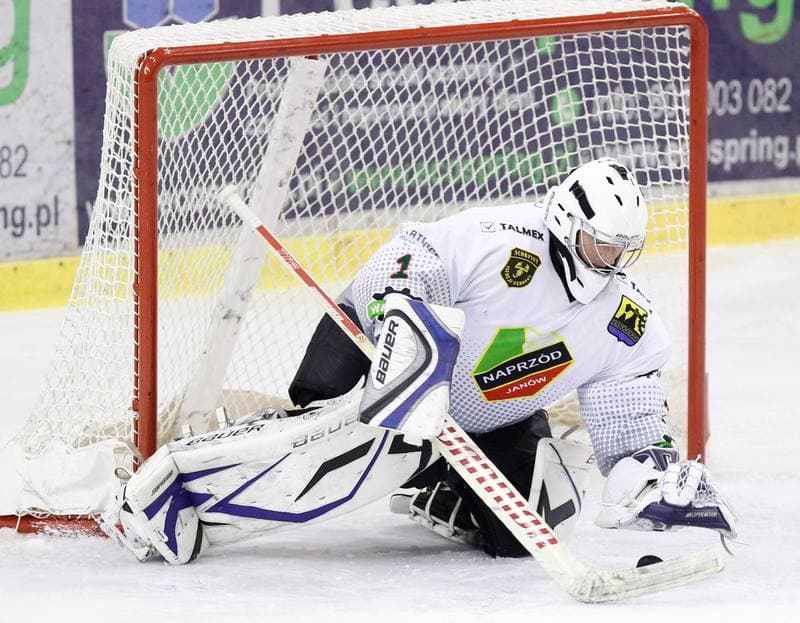 Ice Hockey. Polska Hokej Liga. Naprzod Janow - Polonia Bytom. 02.11.2014