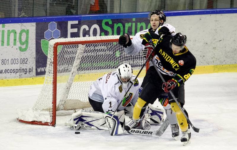 Ice Hockey. Polska Hokej Liga. Naprzod Janow - HC GKS Katowice. 06.01.2015