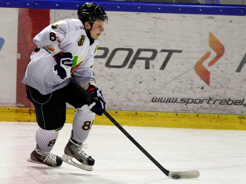Ice Hockey. Polska Hokej Liga. Naprzod Janow - HC GKS Katowice. 06.01.2015