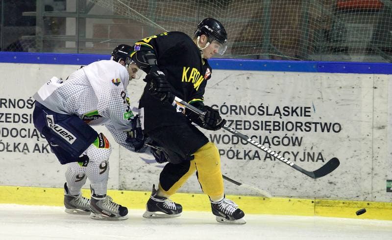Ice Hockey. Polska Hokej Liga. Naprzod Janow - HC GKS Katowice. 06.01.2015