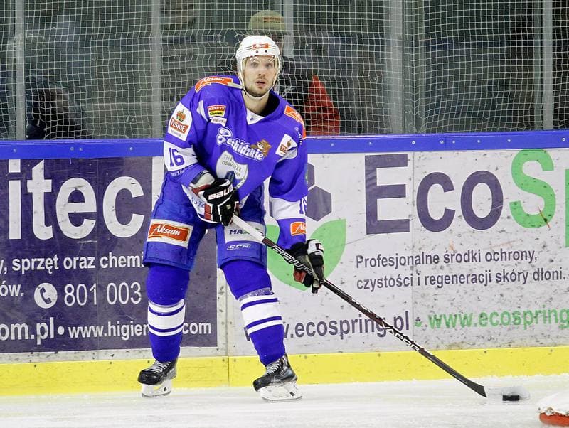Ice Hockey. Polska Hokej Liga. Naprzod Janow - Unia Oswiecim. 26.10.2014