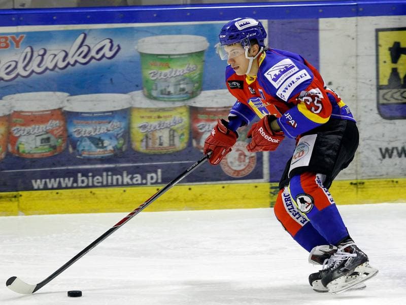 Ice Hockey. Polska Hokej Liga. Naprzod Janow - Podhale Nowy Targ. 14.11.2014
