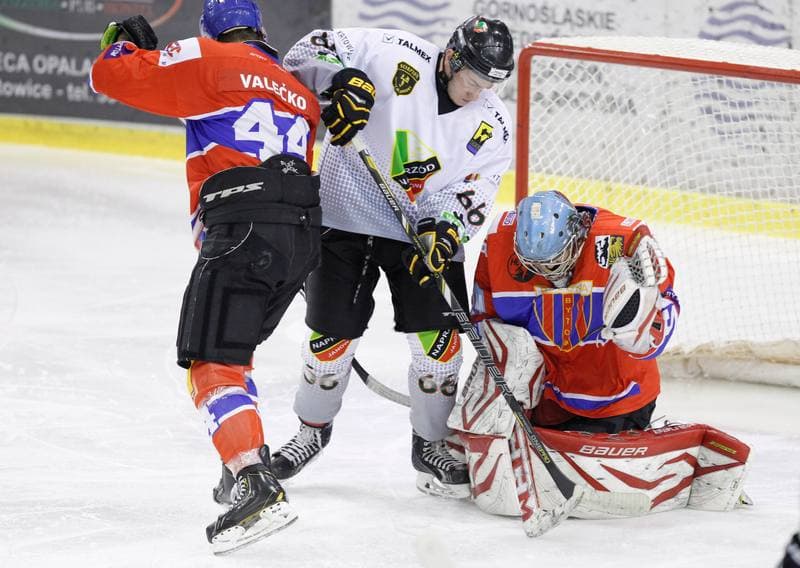 Ice Hockey. Polska Hokej Liga. Naprzod Janow - Polonia Bytom. 02.11.2014