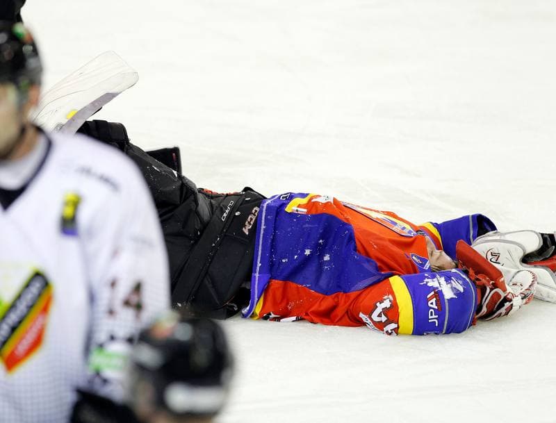 Ice Hockey. Polska Hokej Liga. Naprzod Janow - Podhale Nowy Targ. 14.11.2014