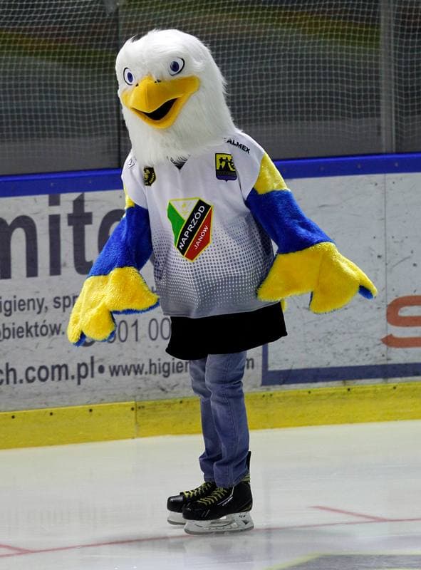 Ice Hockey. Polska Hokej Liga. Naprzod Janow - HC GKS Katowice. 06.01.2015