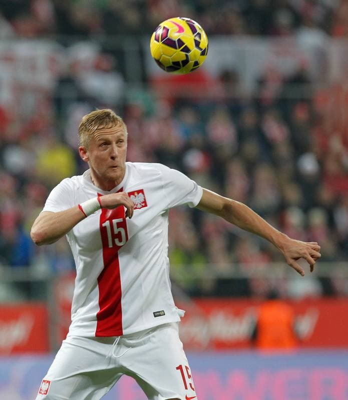 Football. International Friendly. Poland - Switzerland. 18.11.2014