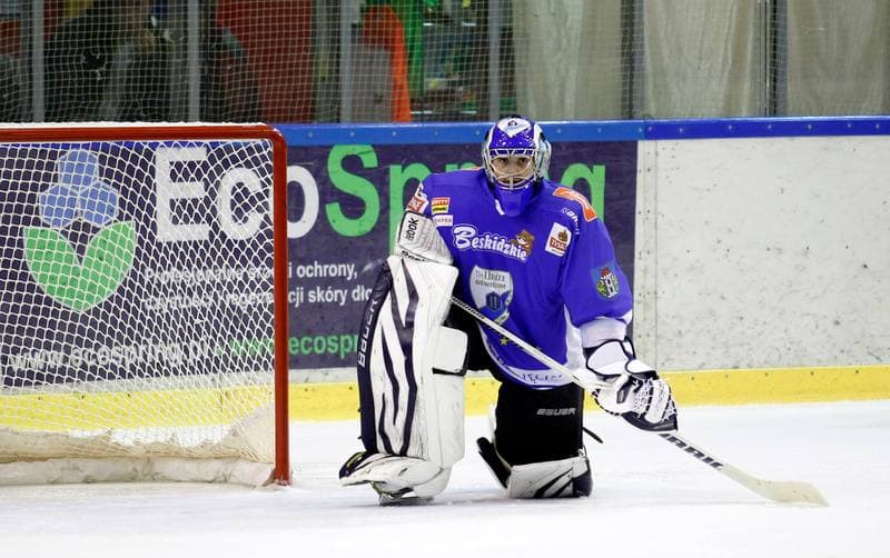 Ice Hockey. Polska Hokej Liga. Naprzod Janow - Unia Oswiecim. 26.10.2014