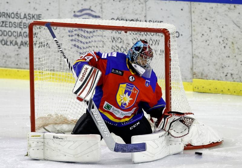 Ice Hockey. Polska Hokej Liga. Naprzod Janow - Podhale Nowy Targ. 14.11.2014