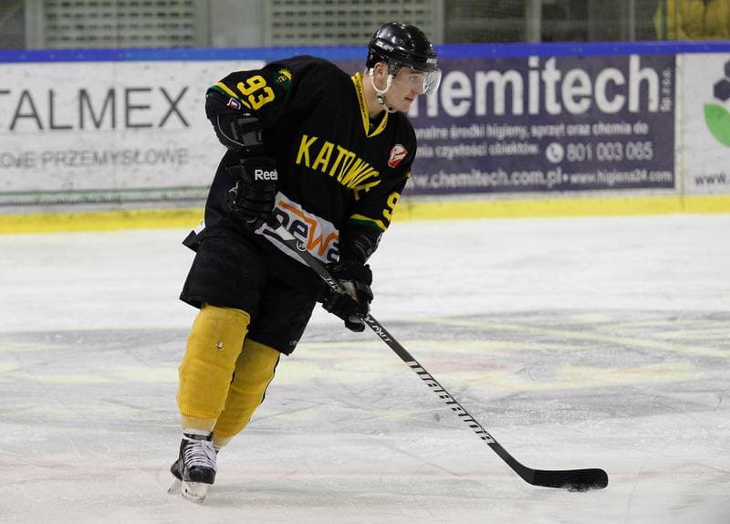 Ice Hockey. Polska Hokej Liga. Naprzod Janow - HC GKS Katowice. 06.01.2015