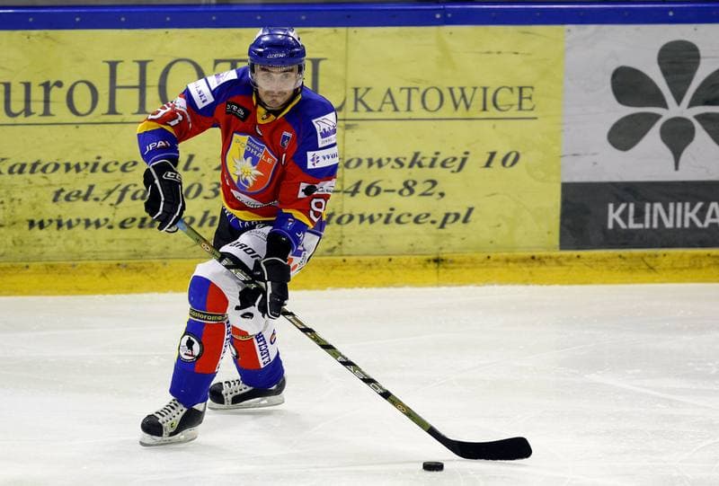 Ice Hockey. Polska Hokej Liga. Naprzod Janow - Podhale Nowy Targ. 14.11.2014